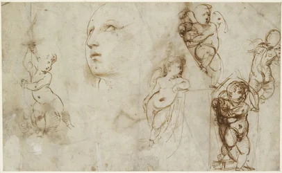 Una testa femminile per Borghese-Beckford Santa Caterina e vari putti, WA1846.177